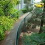 Taringa Central Pedestrian Bridge