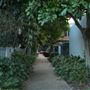 Newstead Streetscape