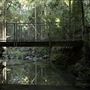 Buderim Forest Park
