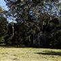 Rural Rainforest and High Fence