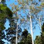 Palm Grove Property