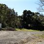 Palm Grove Property