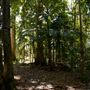 Palm Grove Property