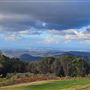 Springbrook Farm