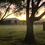 Allenview