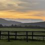 Allenview