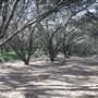 Main Beach - Phillip Park