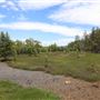 Coombabah Lakelands Conservation Area - Open Field & Forest