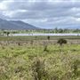Mt Spencer Station