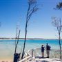 Noosa Beach - Little Cove