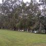 Backlot 97 Kerkin Road Nth