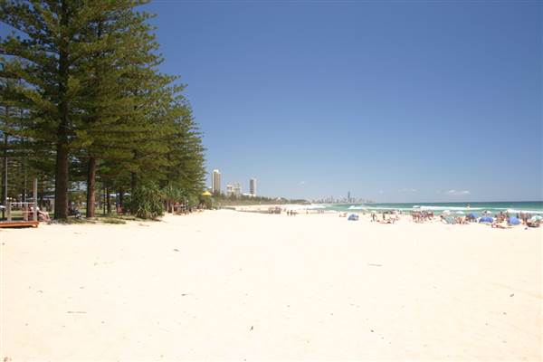 Burleigh Heads - Beach & Surf Club area (24/11/2008)