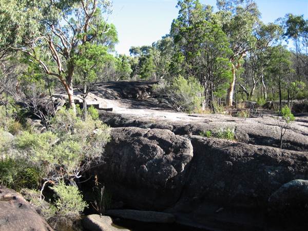 Warwick Region - Girraween National Park (25/09/2006)