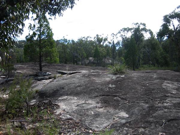 Warwick Region - Girraween National Park (25/09/2006)