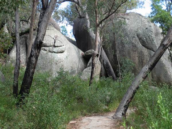 Warwick Region - Girraween National Park (25/09/2006)
