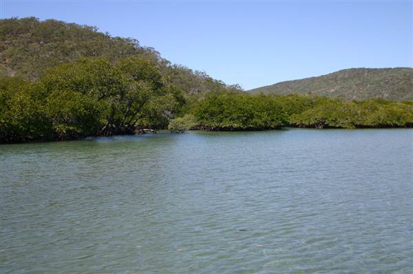 Great Keppel Island - Wop-Pa - Leekes Beach & Creek (31/08/2006)