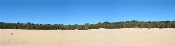 Mulgumpin (Moreton Island) (14/05/2009)