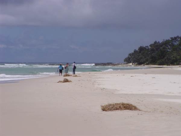 Mulgumpin (Moreton Island) (14/05/2009)