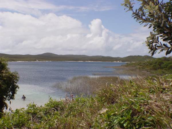 Mulgumpin (Moreton Island) (14/05/2009)