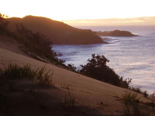 Mulgumpin (Moreton Island) (14/05/2009)