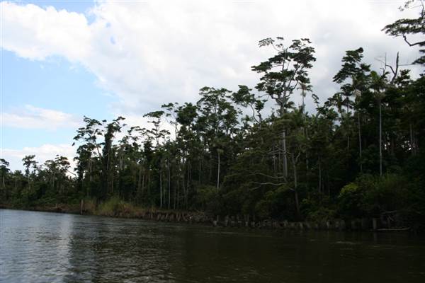 Mulgrave River (Cairns Region) (25/09/2007)