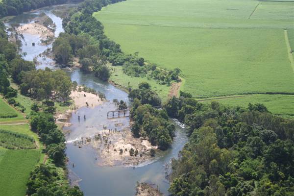Mulgrave River (Cairns Region) (25/09/2007)