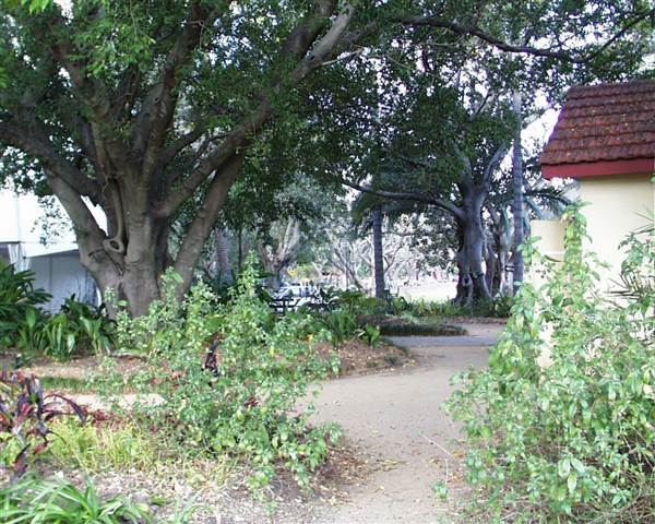 New Farm Park (12/11/2013)