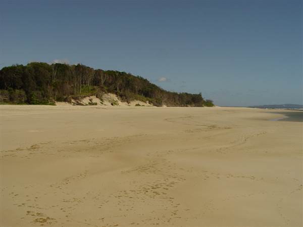Noosa North Shore (17/01/2008)