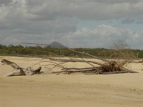 Noosa North Shore (17/01/2008)