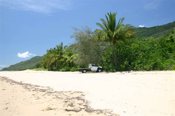 North Palm Cove to Ellis Beach (1/10/2007)