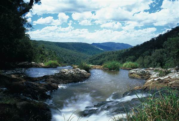 Purling Brook Falls - Springbrook National Park (27/07/2009)