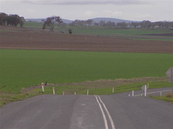 Wheat Fields (8/01/2008)