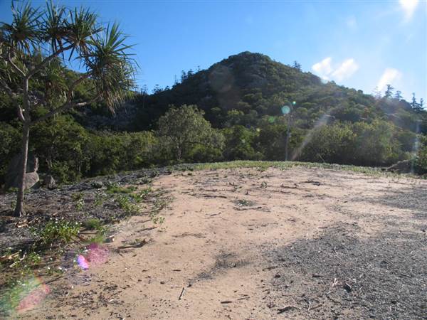 Radical Bay (Magnetic Island) (12/10/2007)