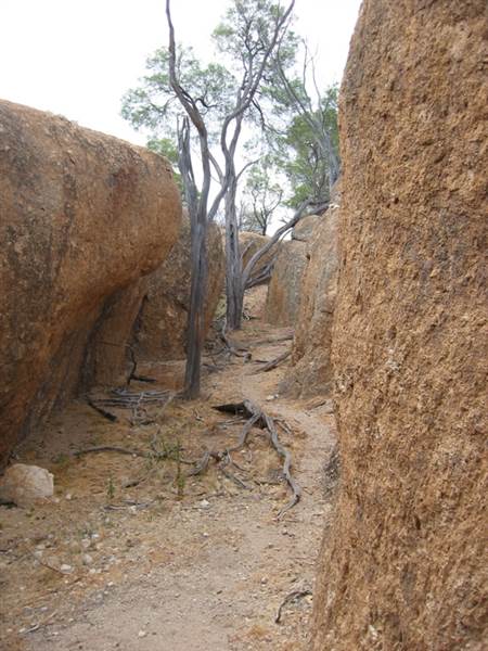 Rangelands Station (14/10/2005)
