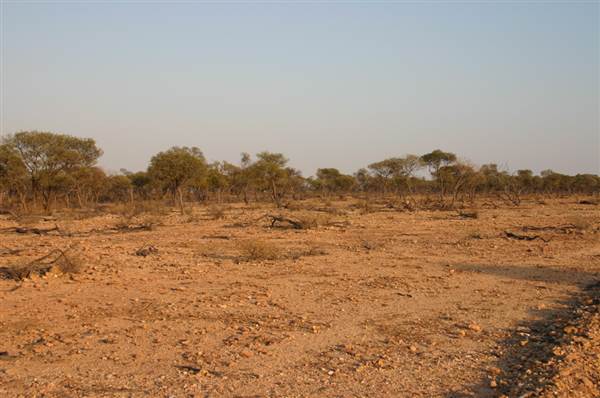 Rangelands Station (14/10/2005)