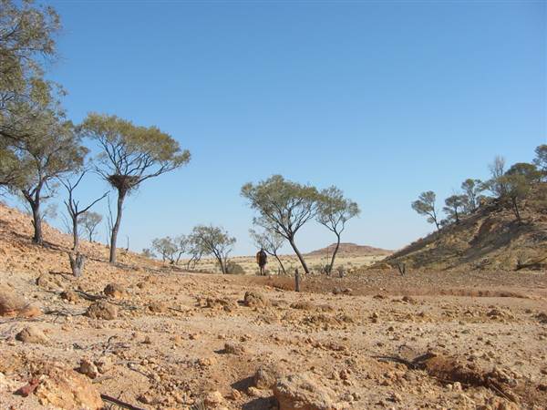 Rangelands Station (14/10/2005)
