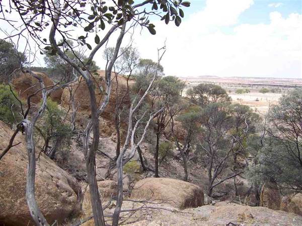 Rangelands Station (14/10/2005)