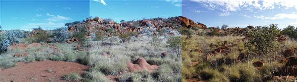 Sybella Creek (25/12/2002)