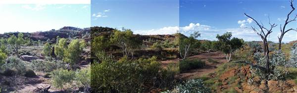 Sybella Creek (25/12/2002)