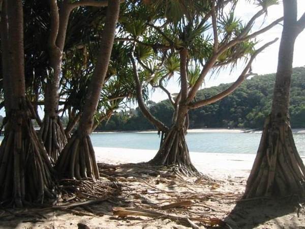 Tallebudgera Beach (17/12/2008)
