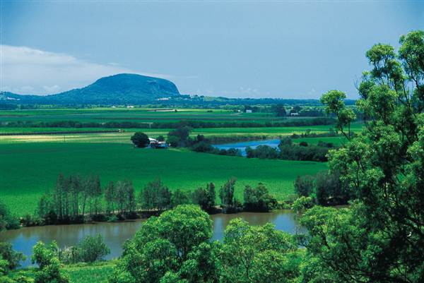 Yandina (10/04/2006)