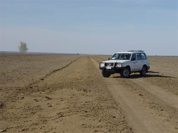 Muttaburra - Aramac Rd (18/11/2013 - Credits: Chris Strewe)