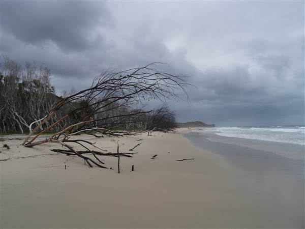 Minjeeribah (North Stradbroke Island) - Home Beach (1/02/2014 - Credits: Angus Ledgerwood)