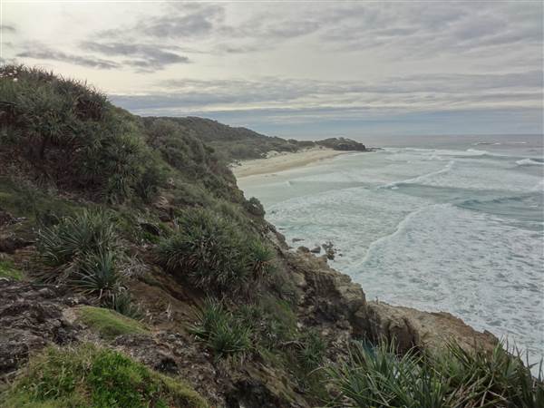 Gorge Walk, Point Lookout (3/02/2014 - Credits: Angus ledgerwood)