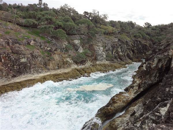 Gorge Walk, Point Lookout (3/02/2014)