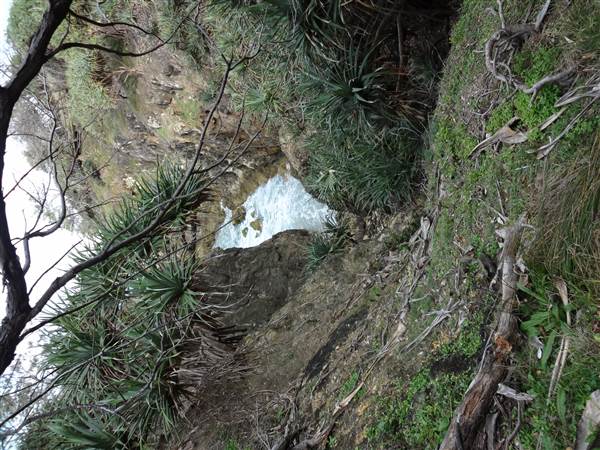 Gorge Walk, Point Lookout (3/02/2014)