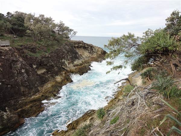 Gorge Walk, Point Lookout (3/02/2014)