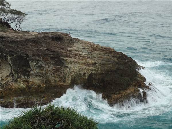 Gorge Walk, Point Lookout (3/02/2014)