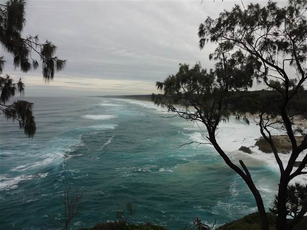 Gorge Walk, Point Lookout (3/02/2014)