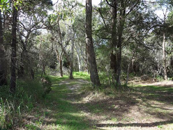 Coochiemudlo Island (4/02/2014)